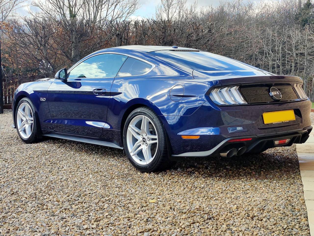 Mustang-Clean2.jpg