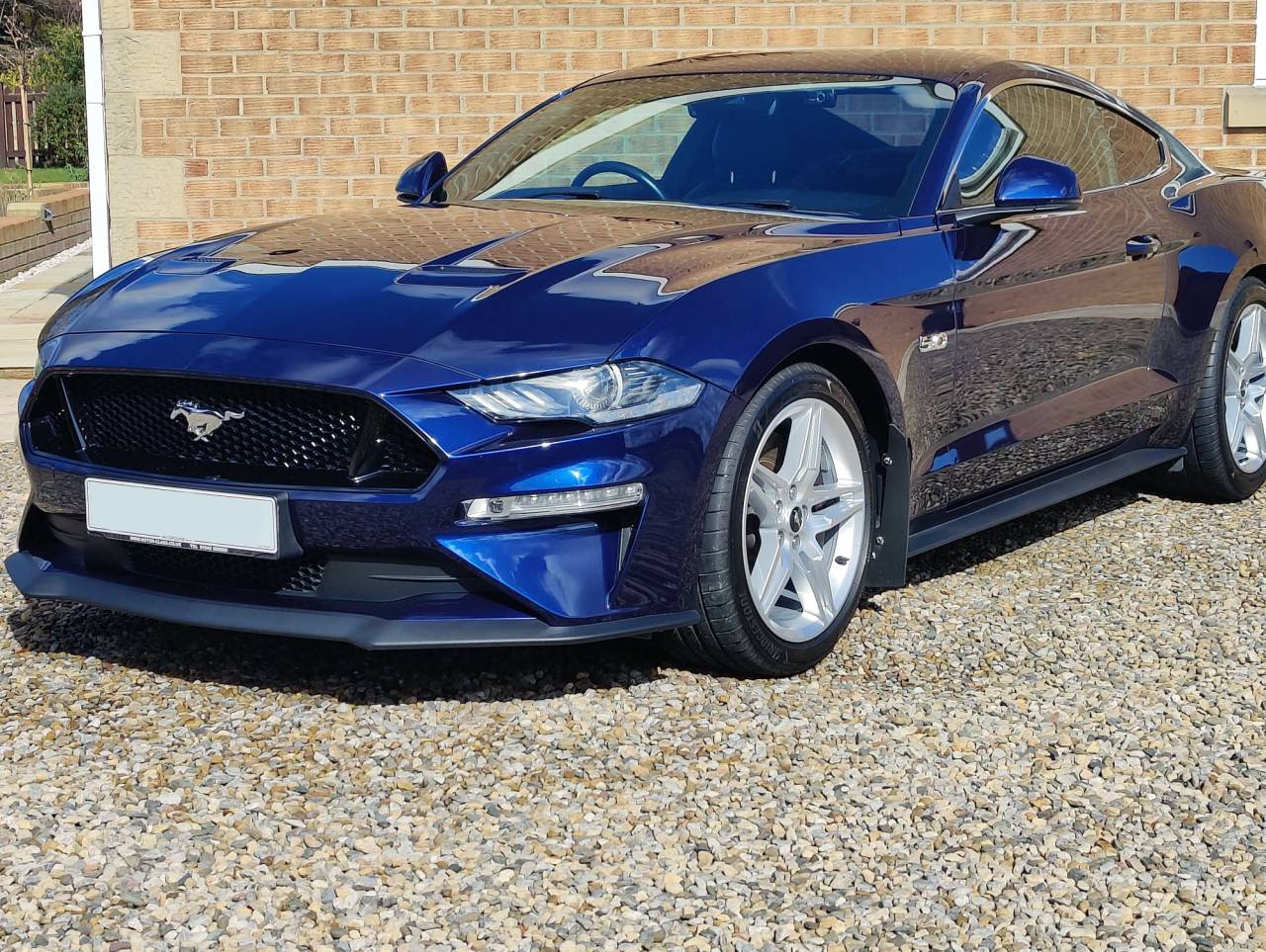 Mustang-Clean3.jpg