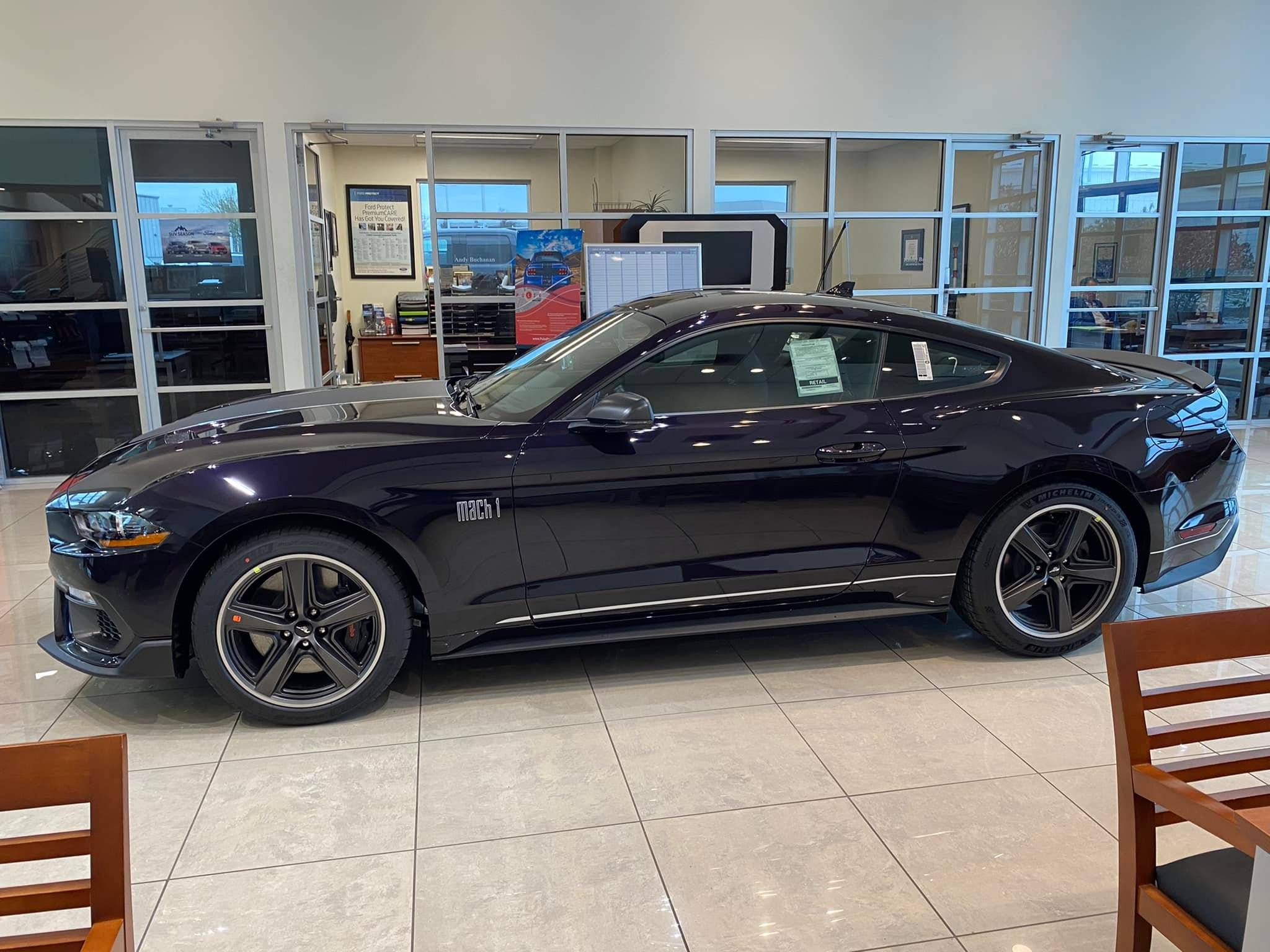 2022 Mach 1 in new Mischievous Purple Metallic and Grabber Blue