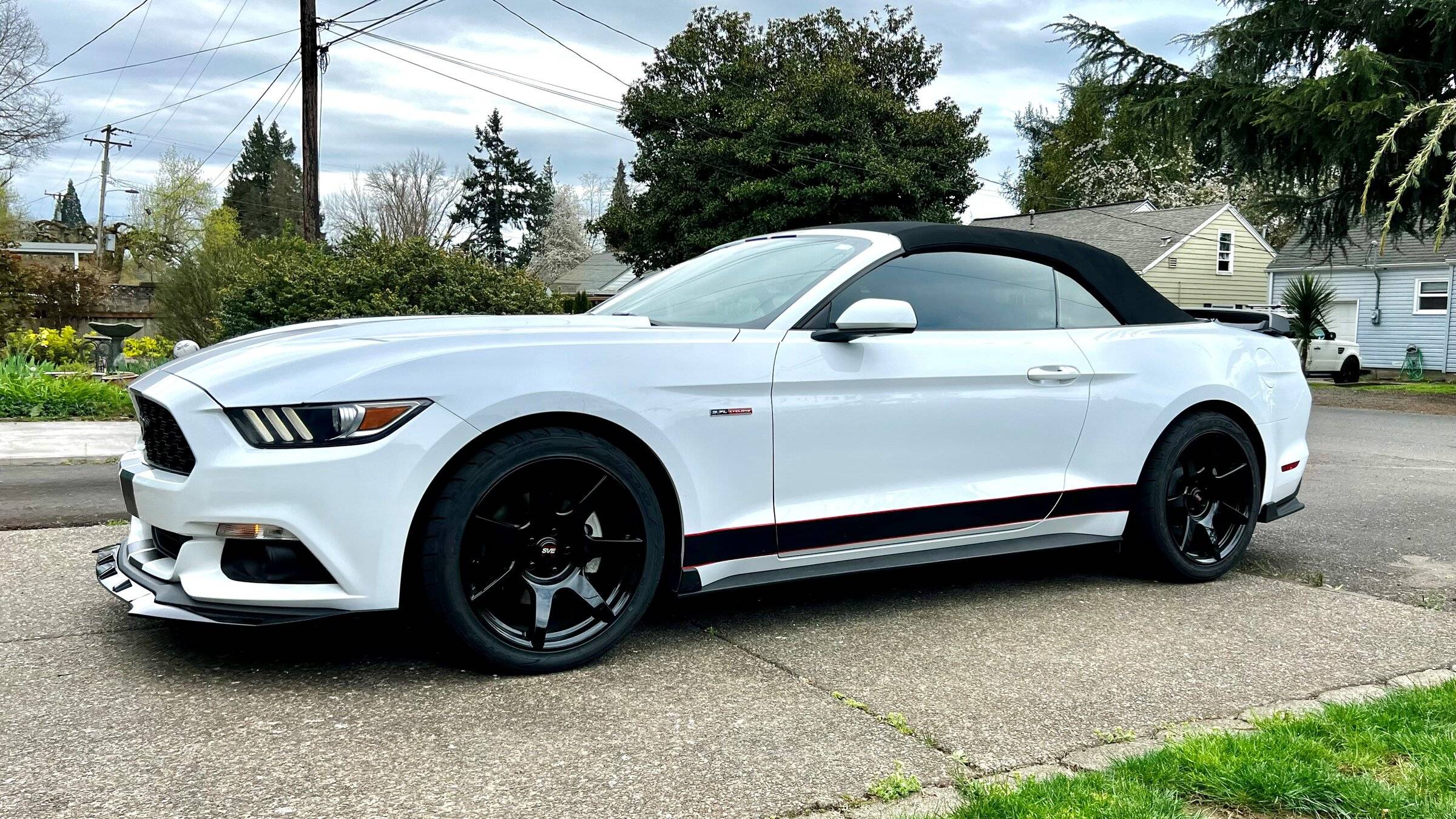 mustang999999999999888899999999999.jpg