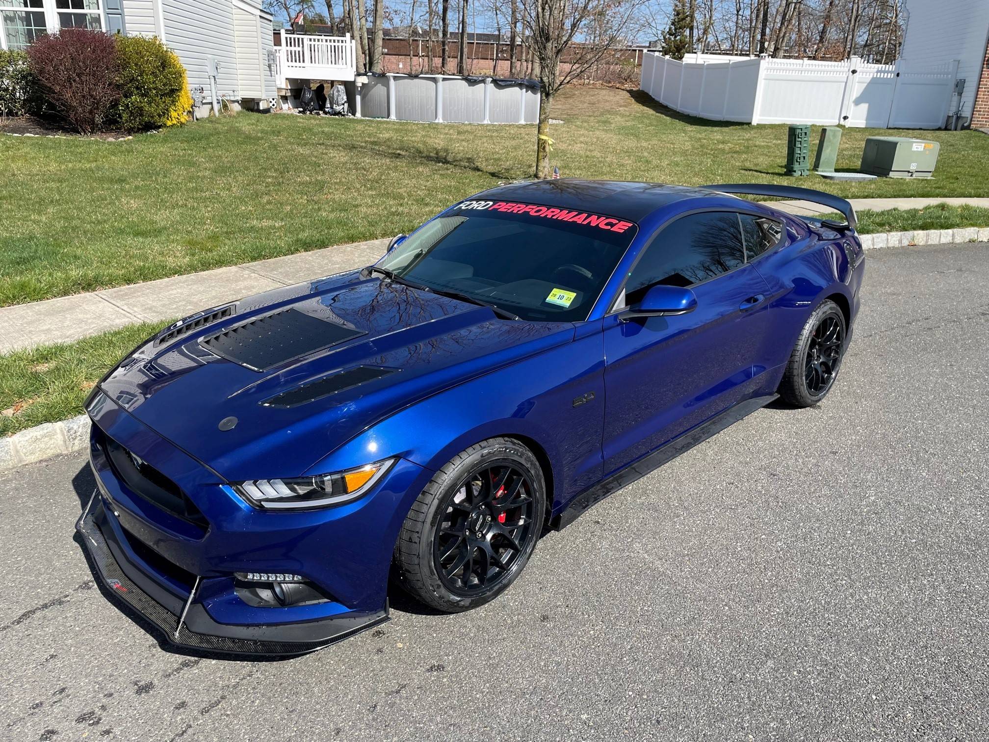 Mustang 2.jpg