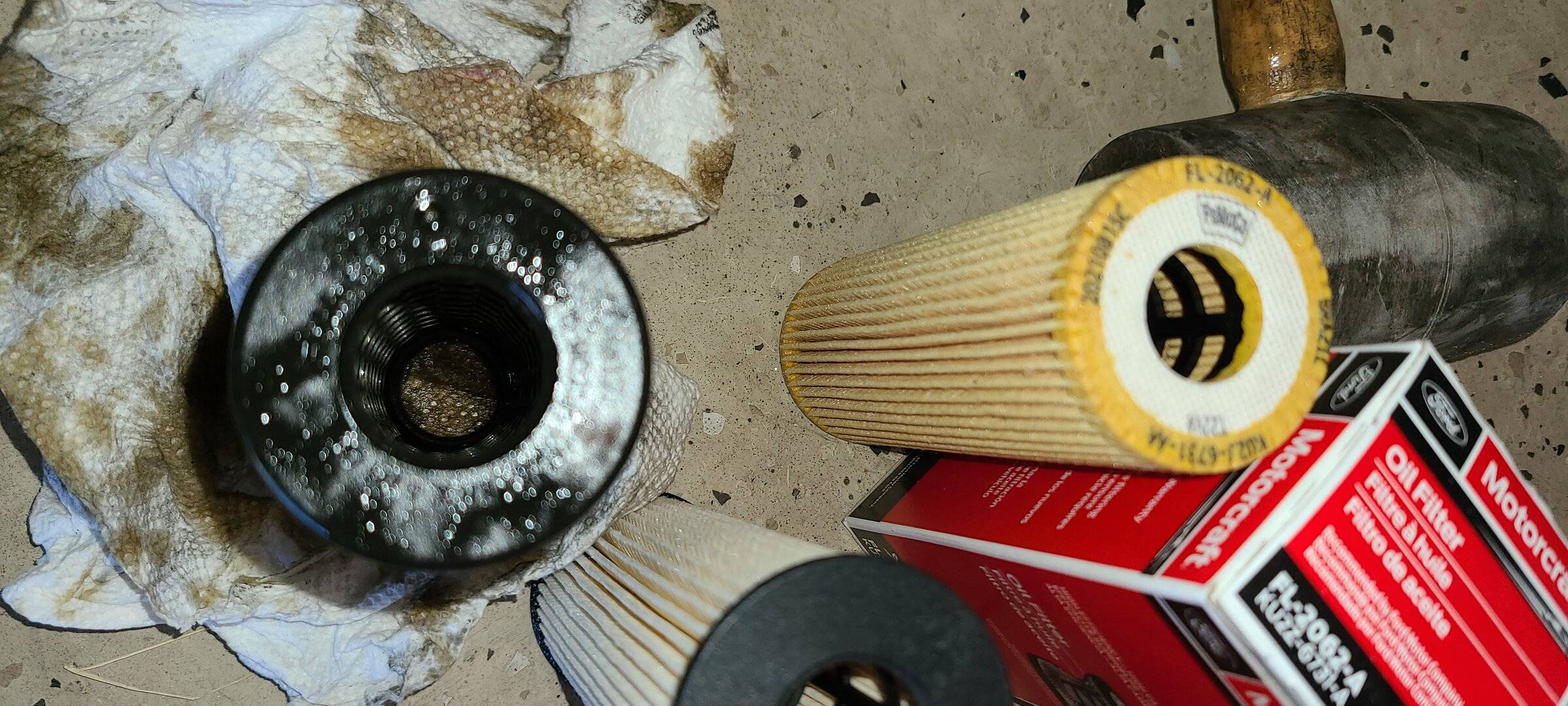 20220411_101705.jpg
