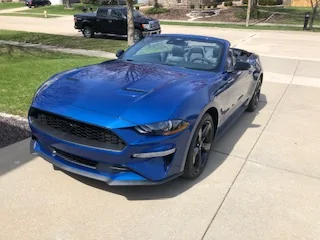 mustang.webp