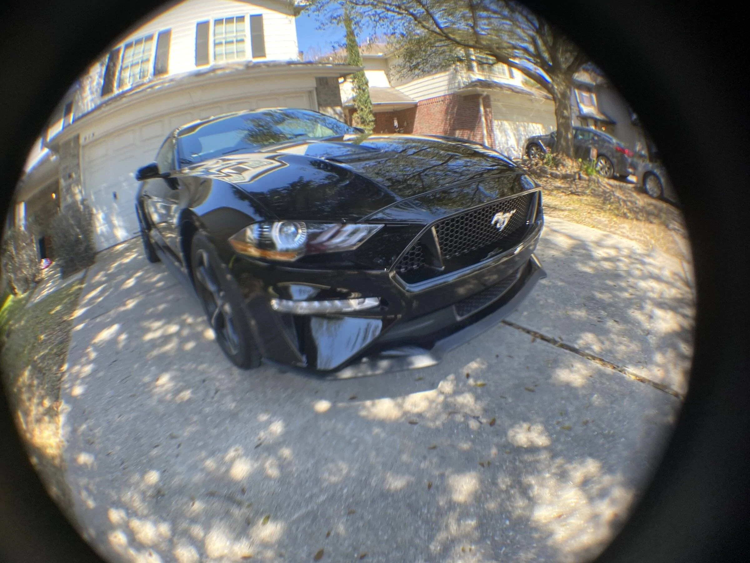 40865804-2237-4FA3-A481-FFF3DEA99CA2.webp