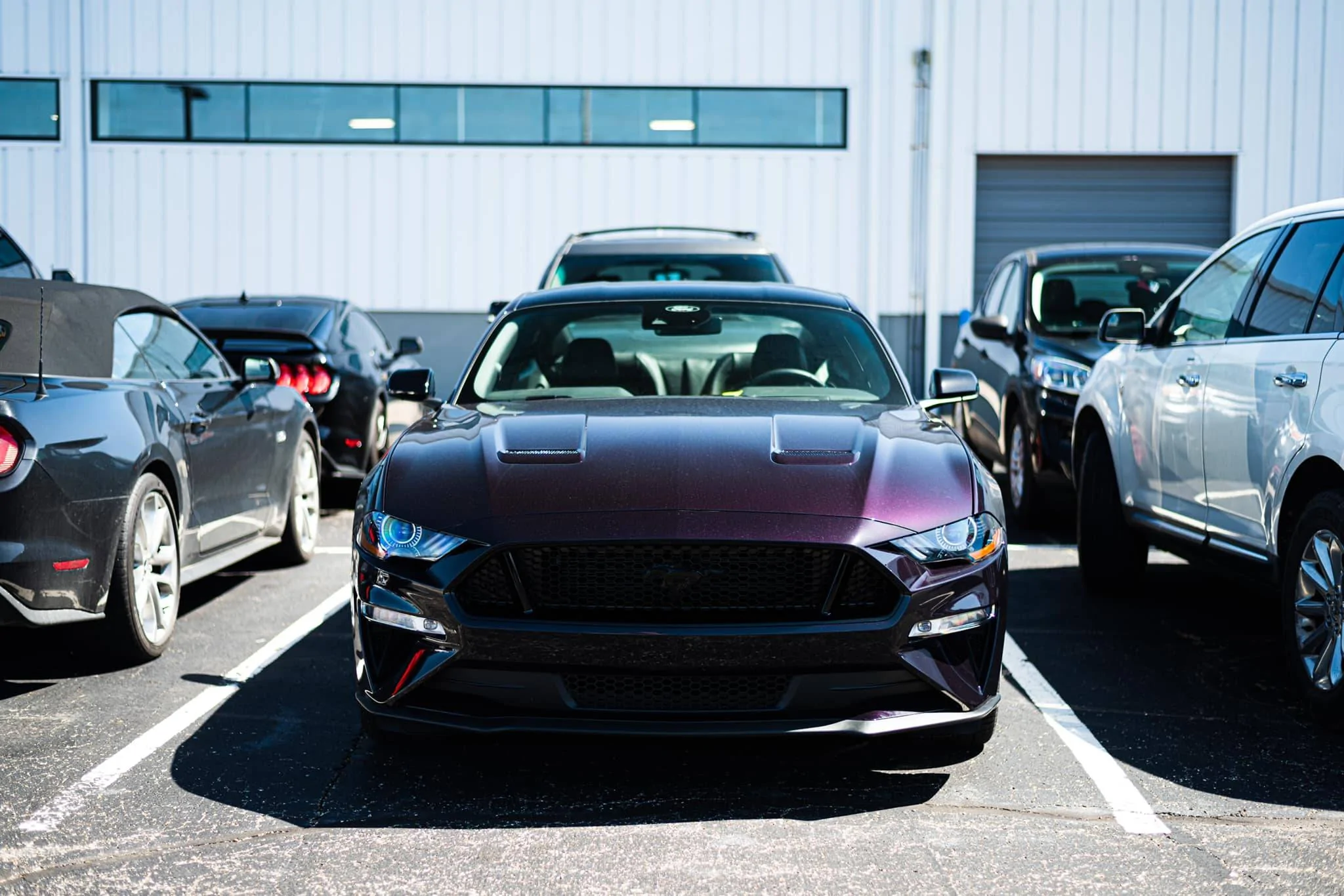 car-at-dealer2.webp