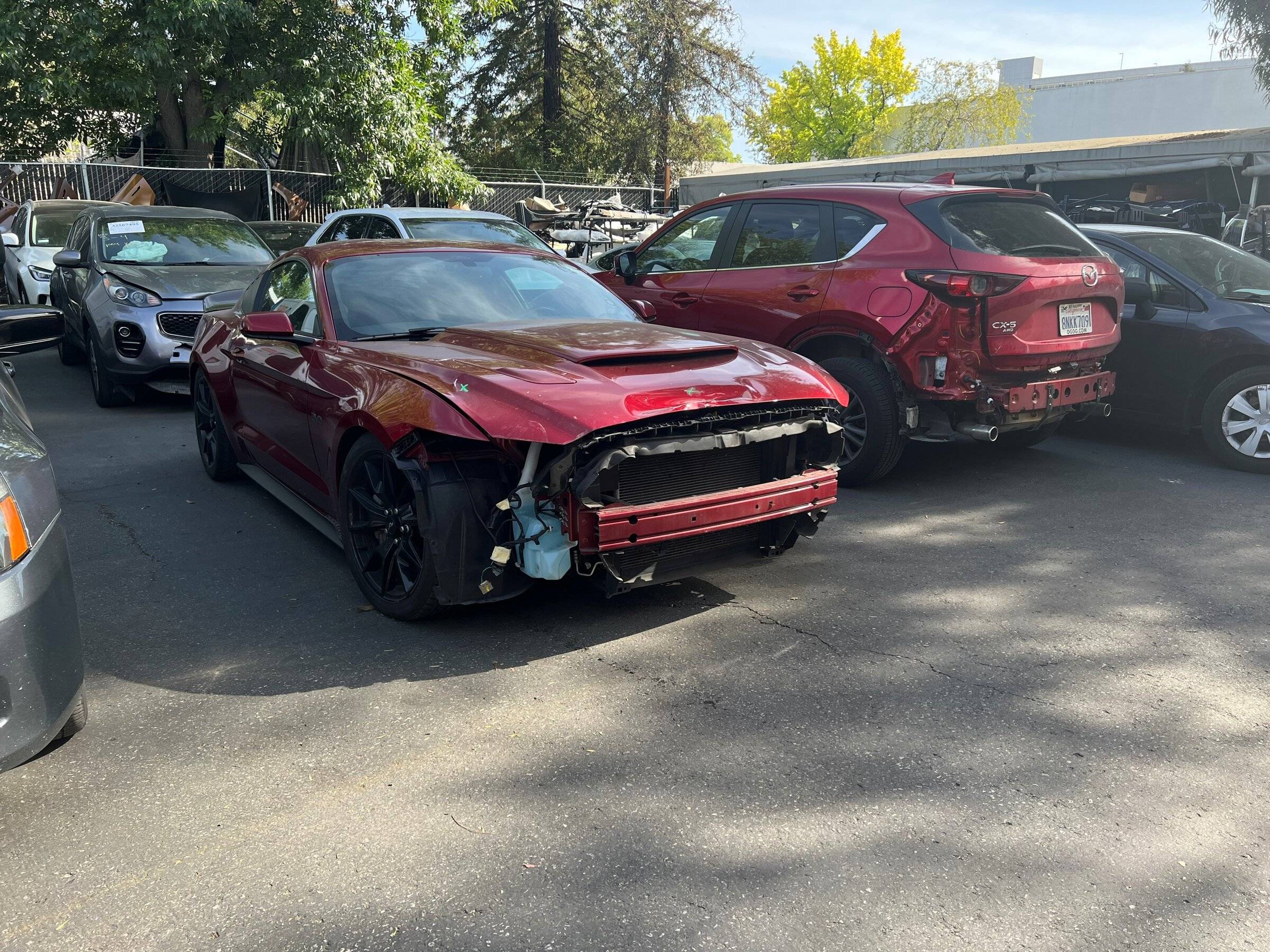 damaged2.jpg