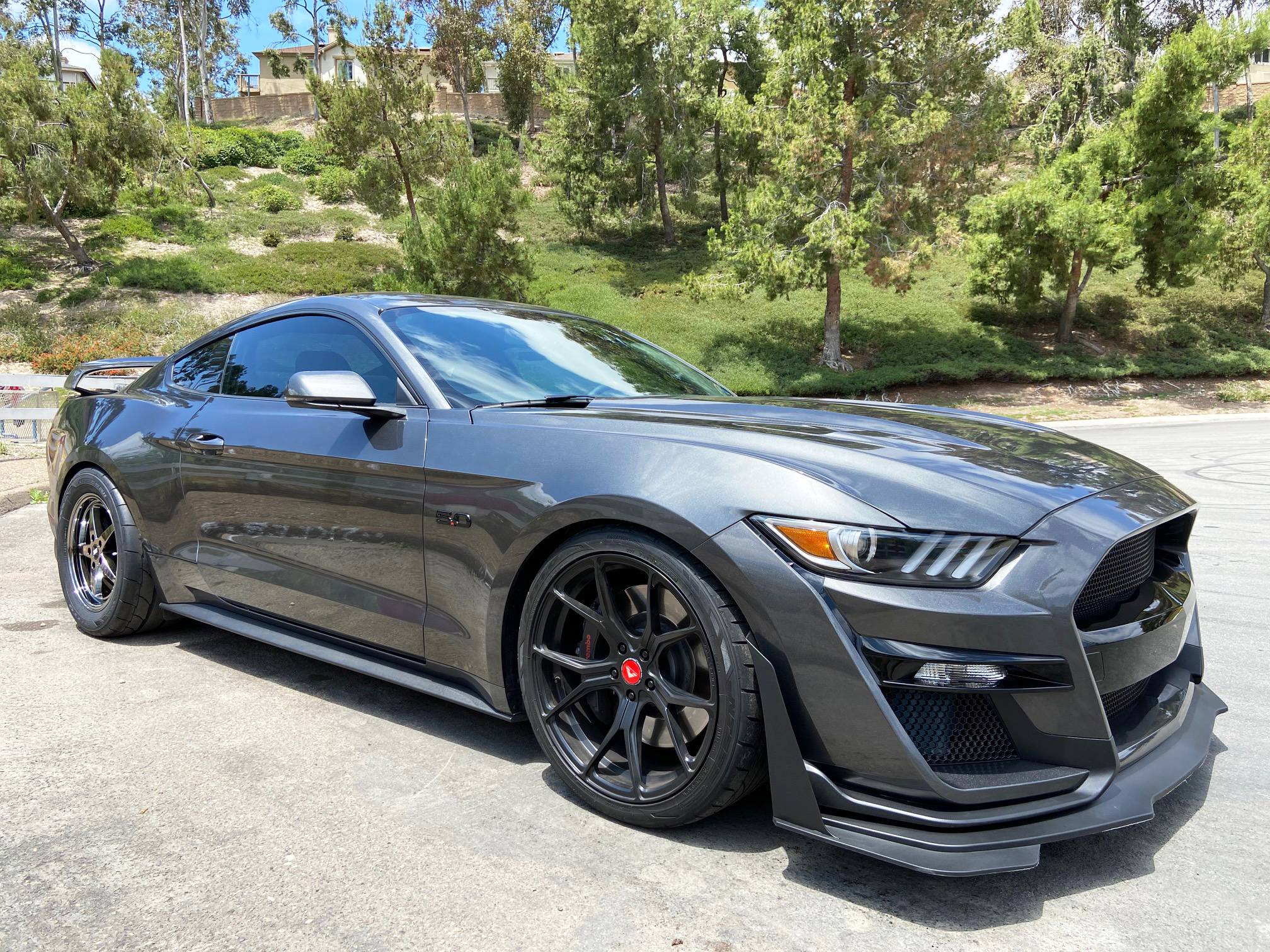Mustang.jpg