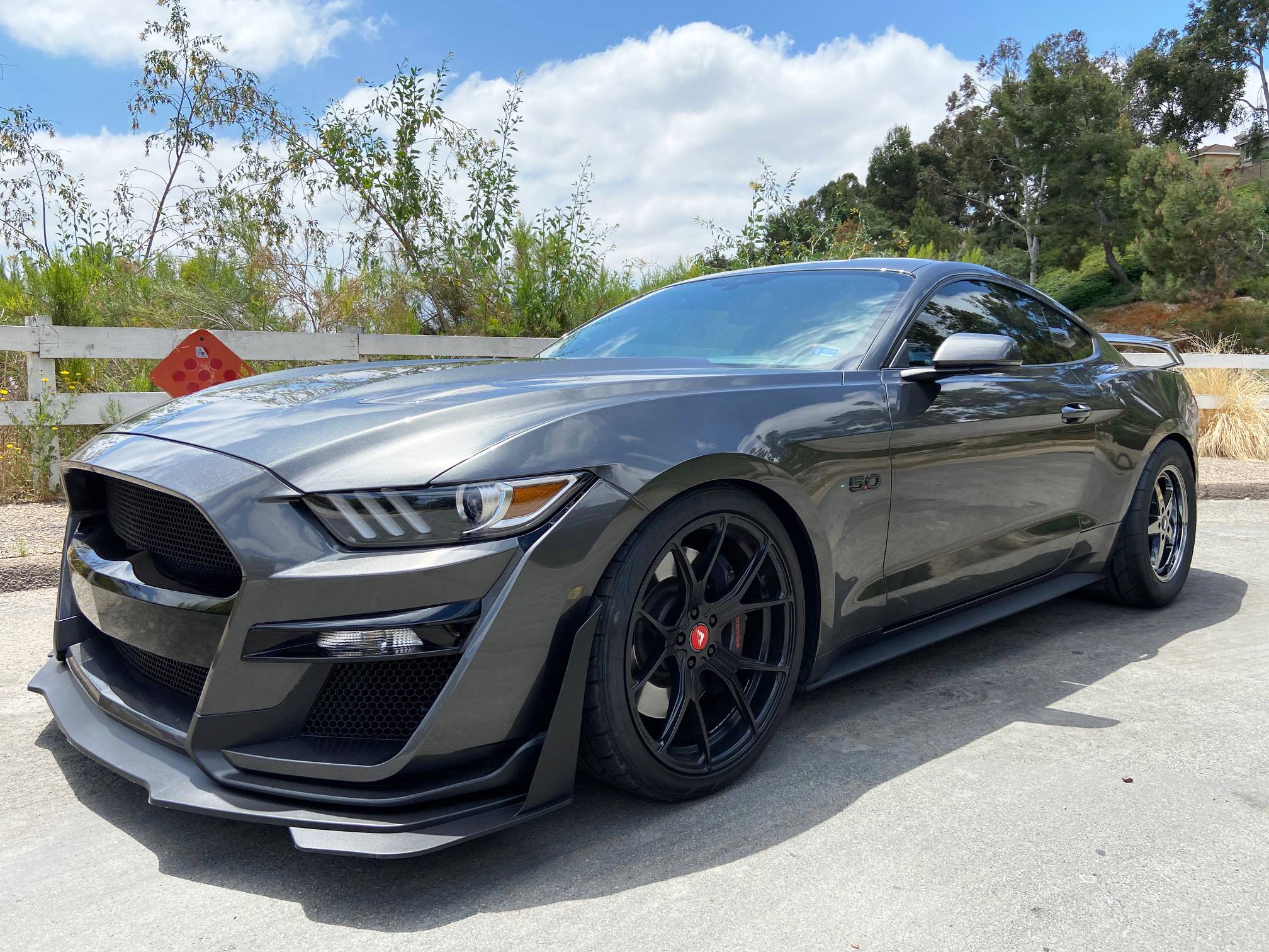 mustang3.jpg