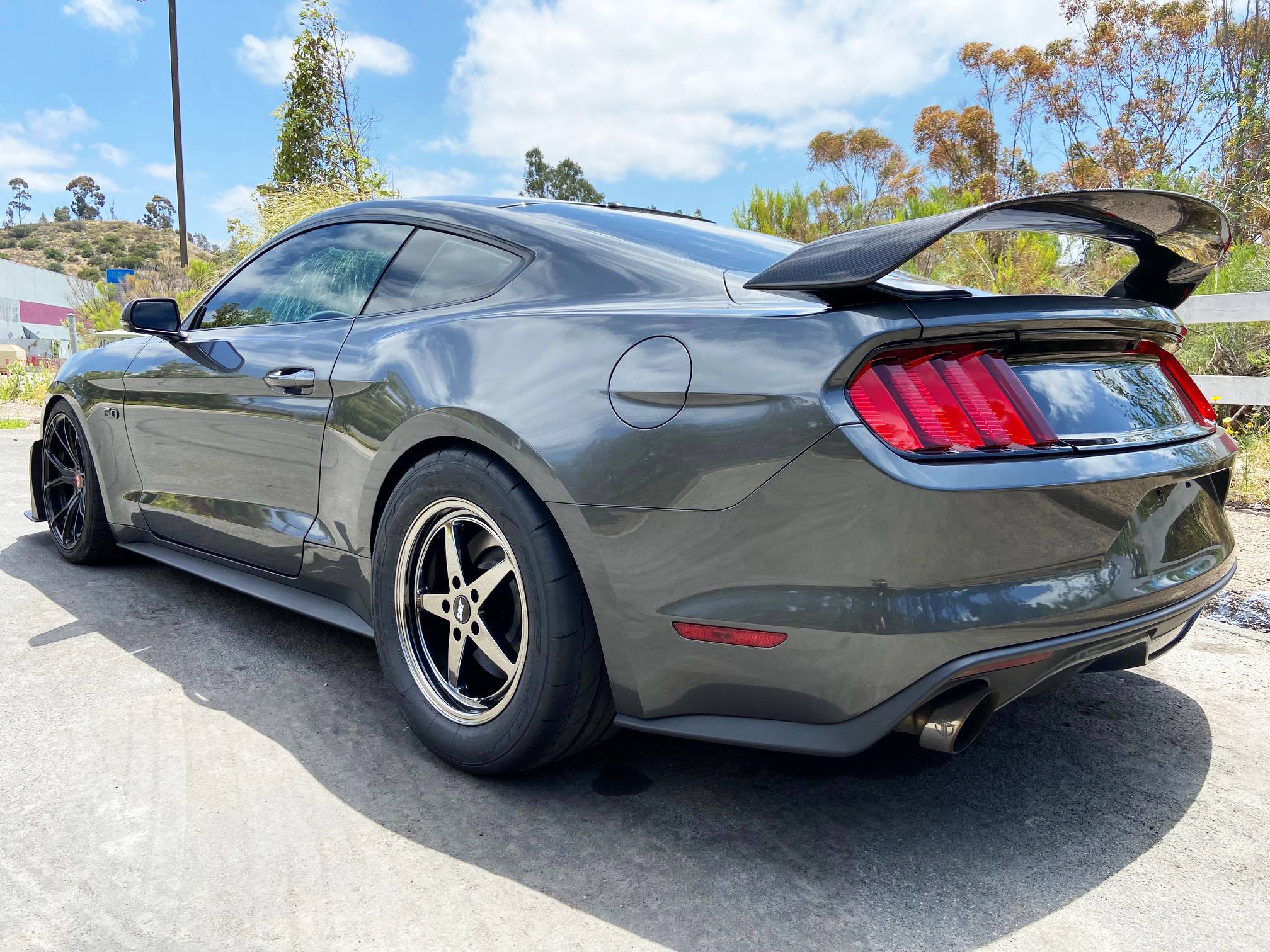 mustang4.jpg