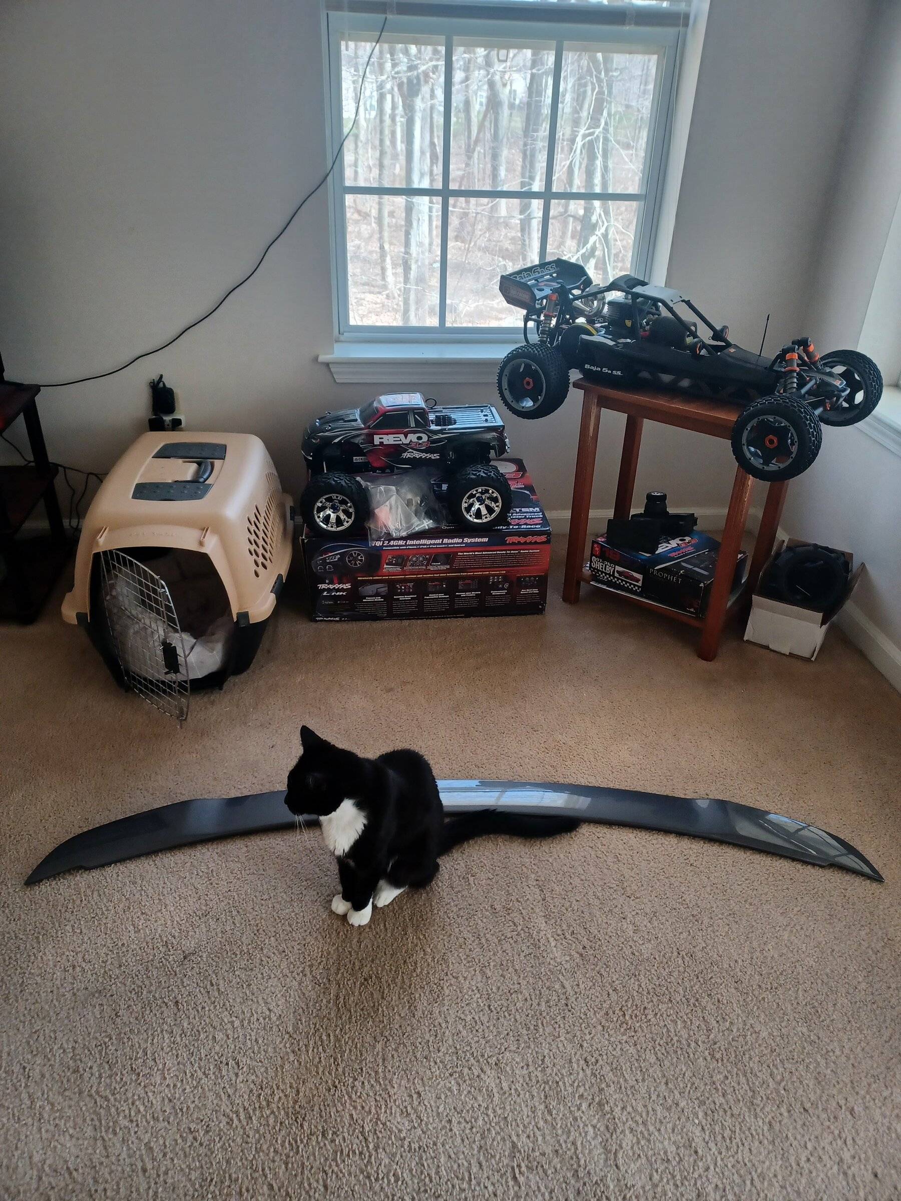 20220420_130835.jpg