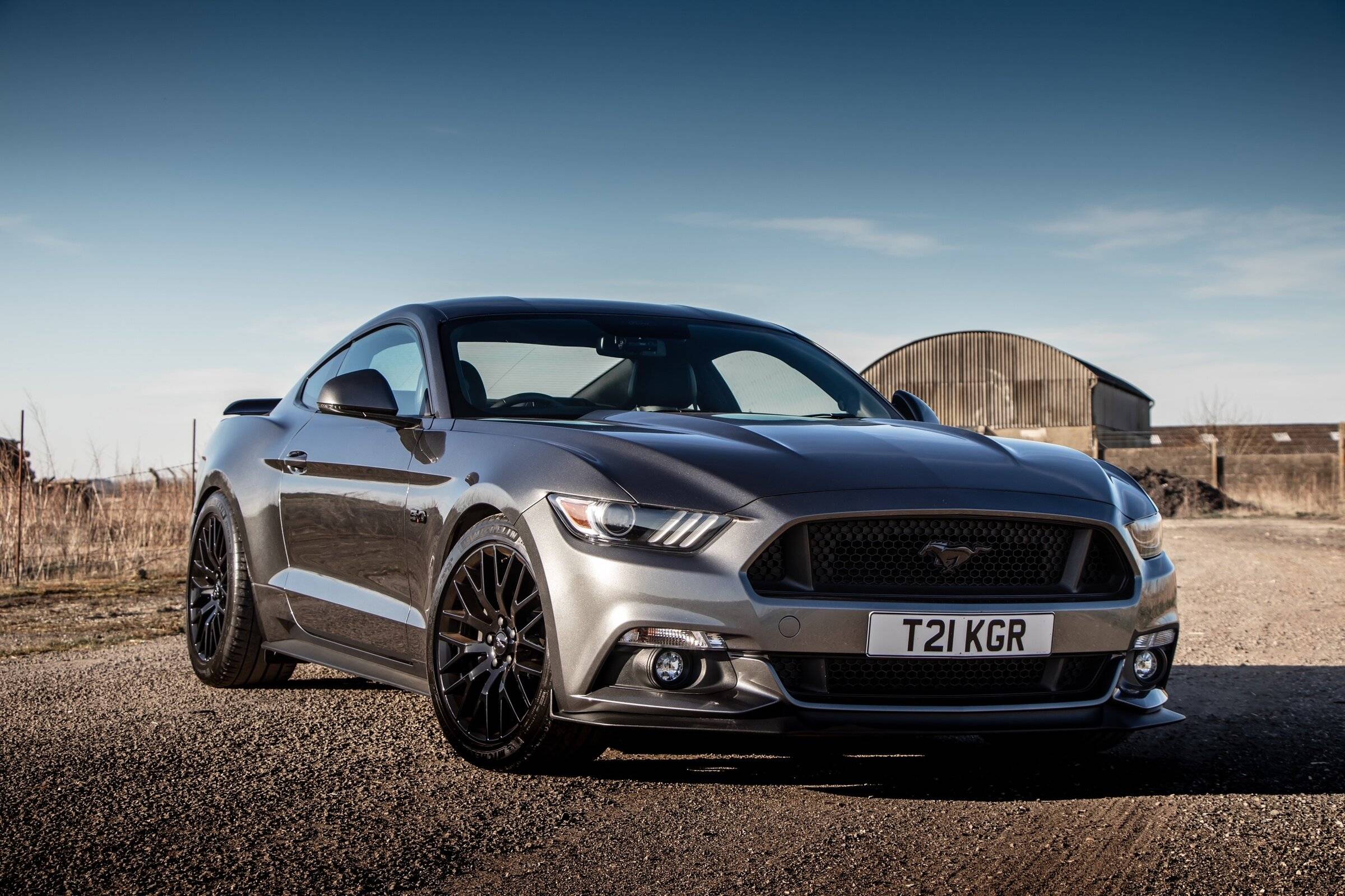 Mustang2.jpg