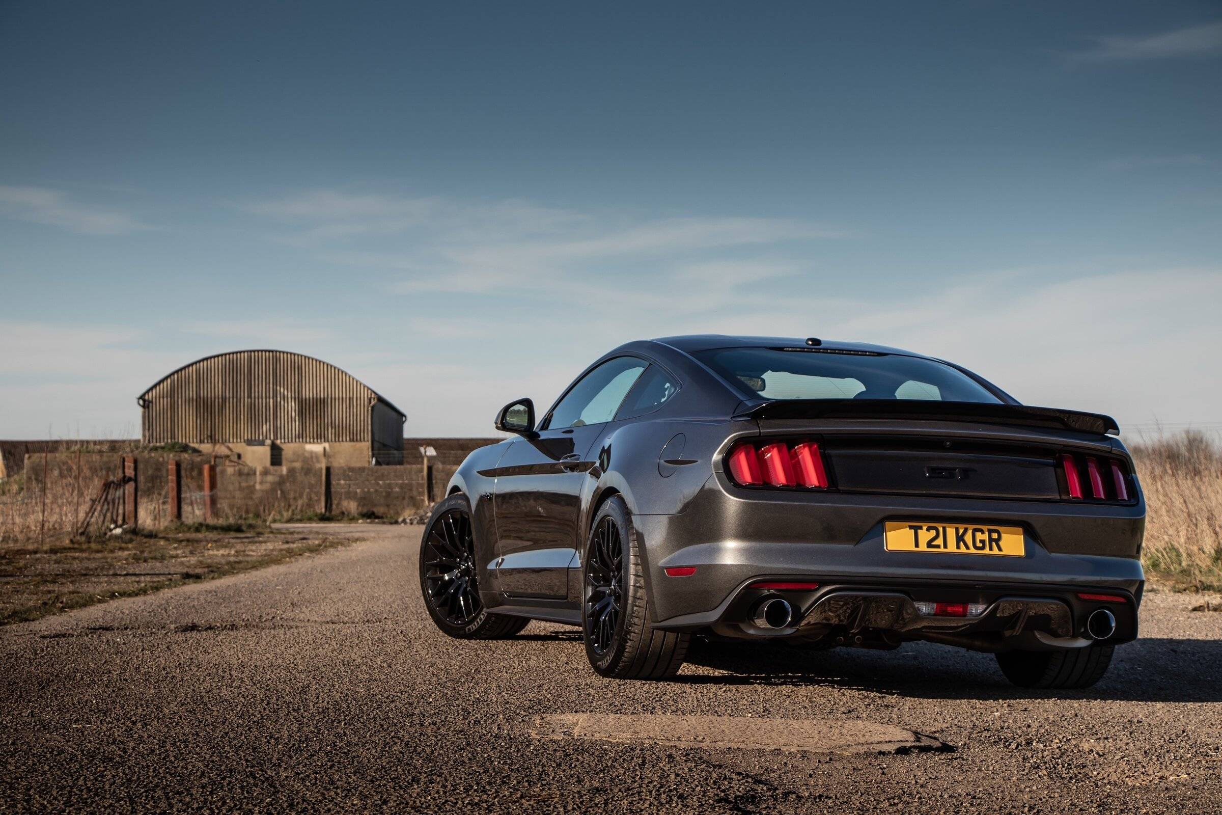 Mustang1.jpg