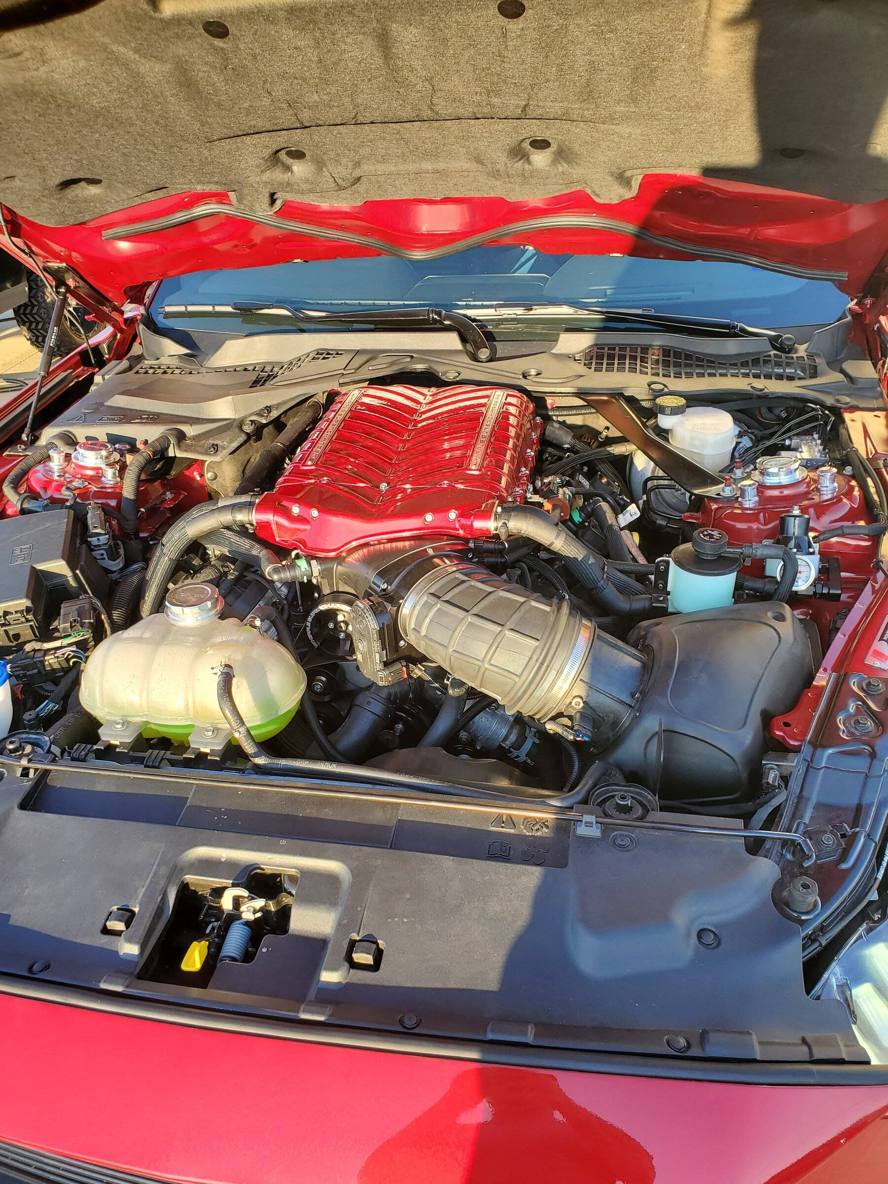 underhood.jpg