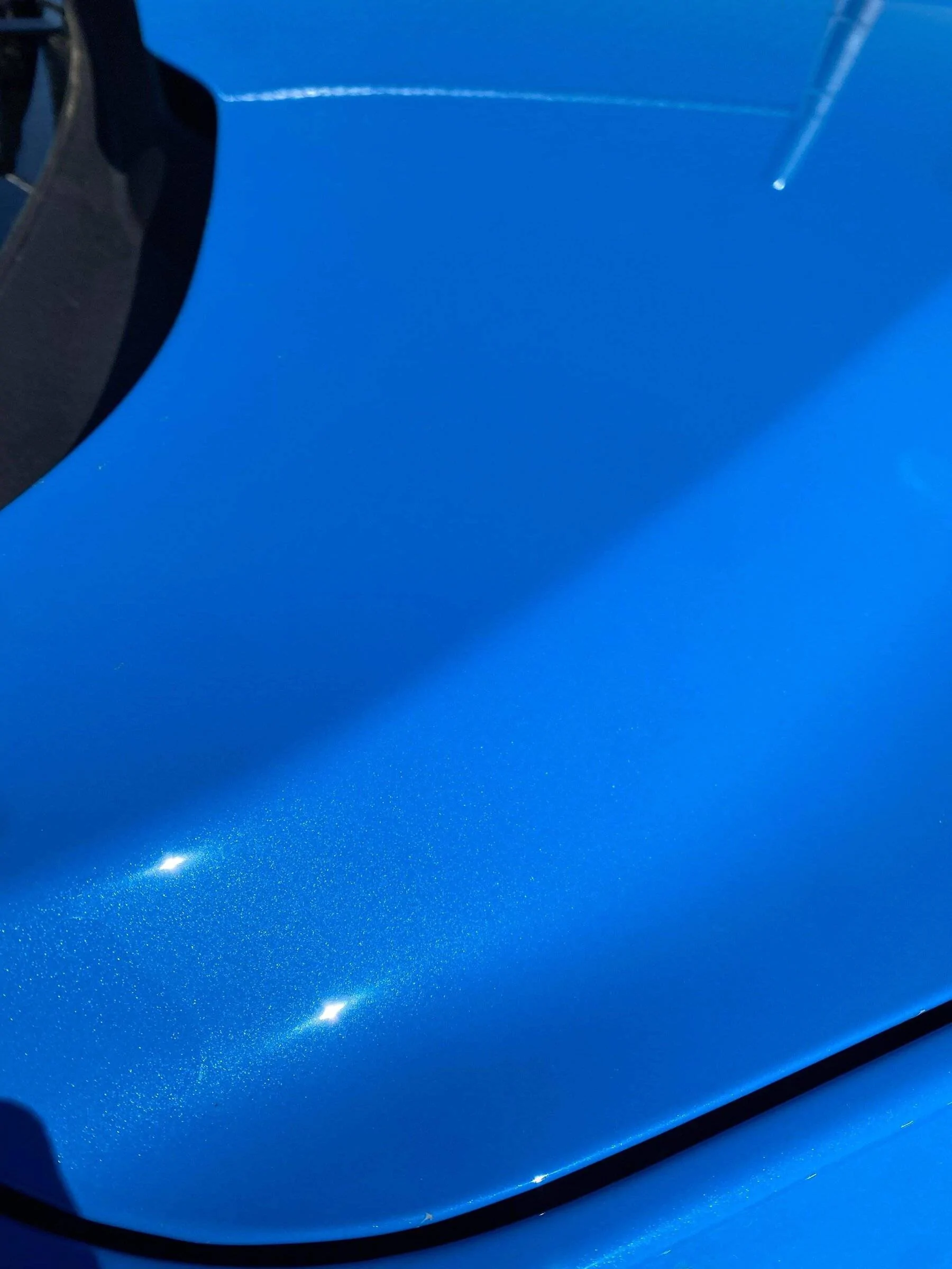 2022 Grabber Blue METALLIC in the sun! | 2015+ S550 Mustang Forum