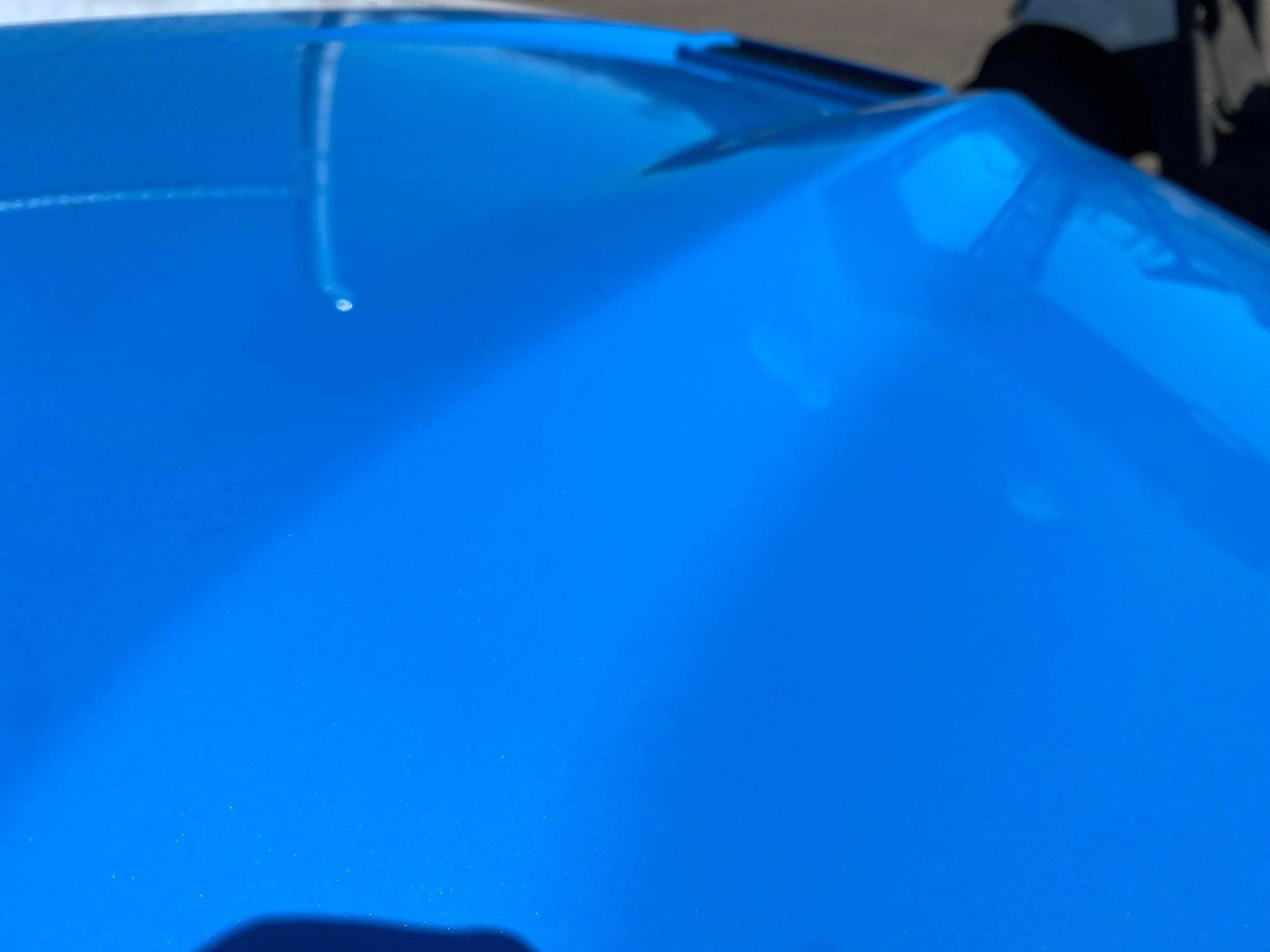 2022 Grabber Blue METALLIC in the sun! | 2015+ S550 Mustang Forum