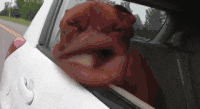 1650891058224.gif