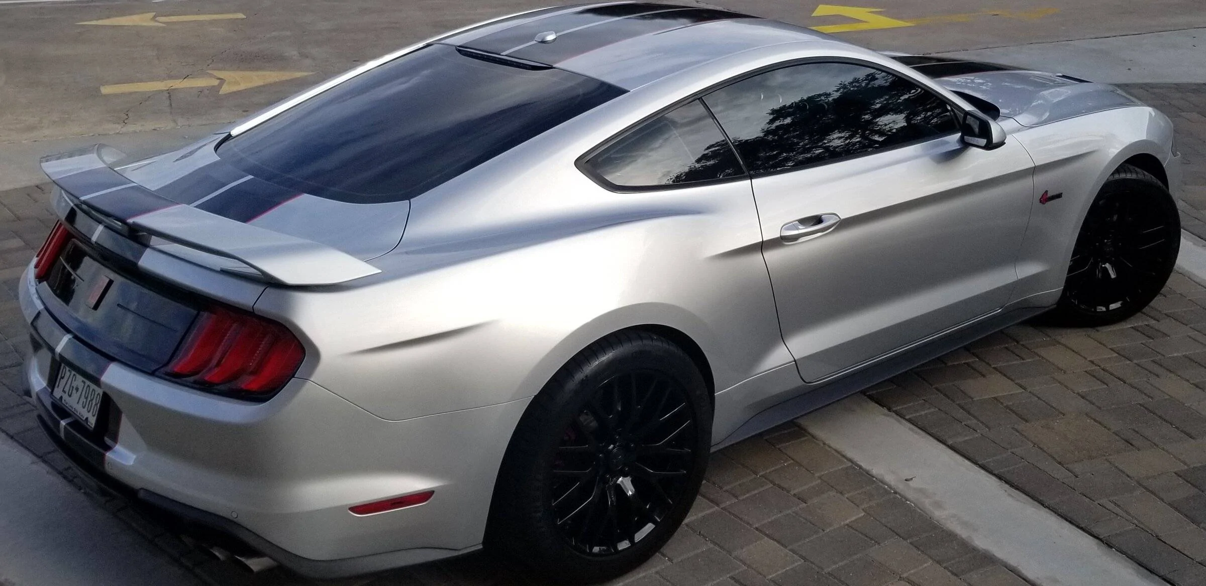 stang 15b.jpg