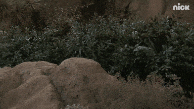1651099792739.gif
