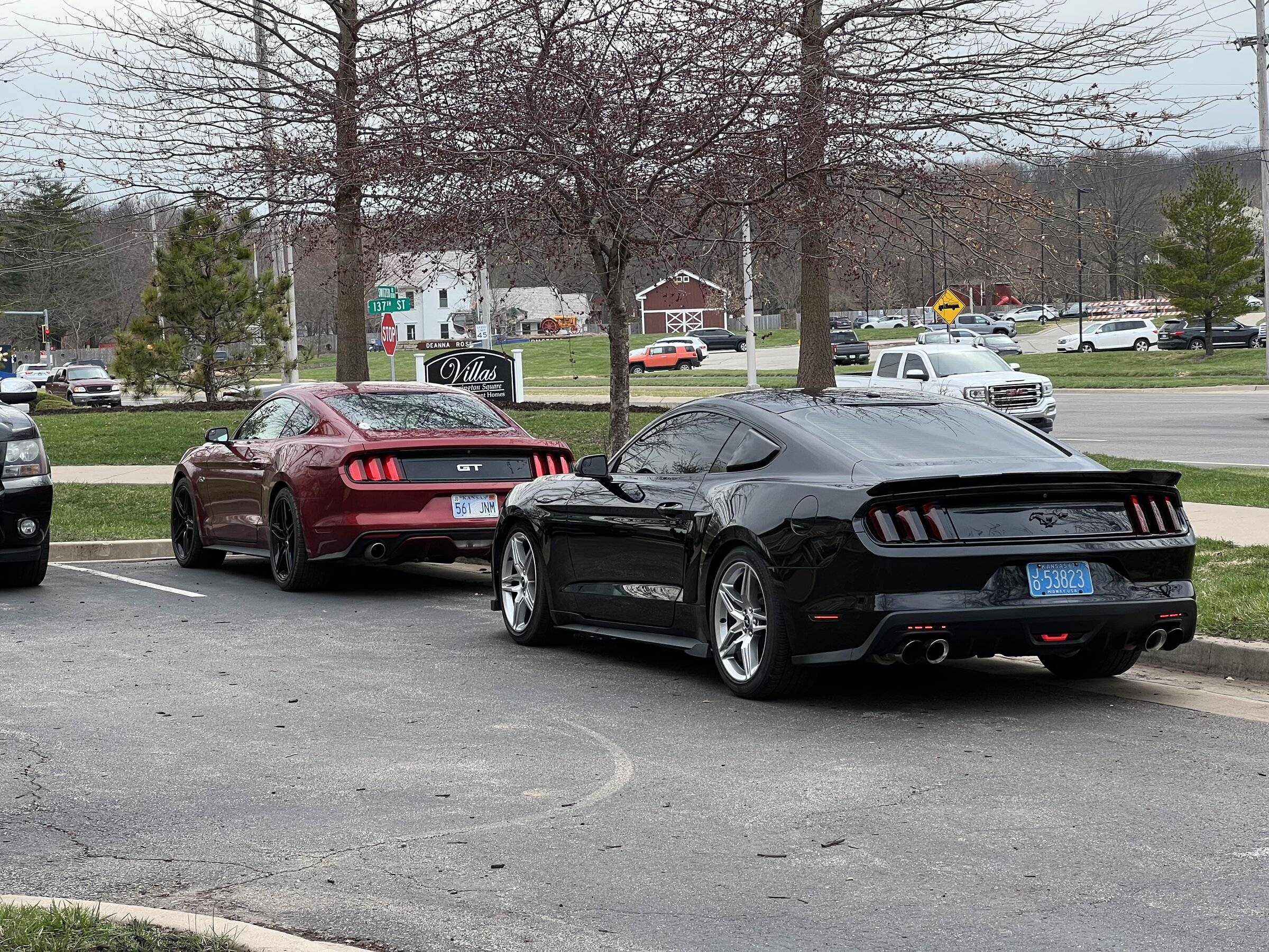 D23E9337-69BC-4093-9E61-9B32FC2F6123.jpeg