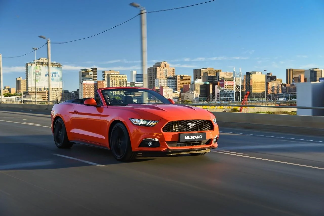 Mustang_Johannesburg_South Africa.webp