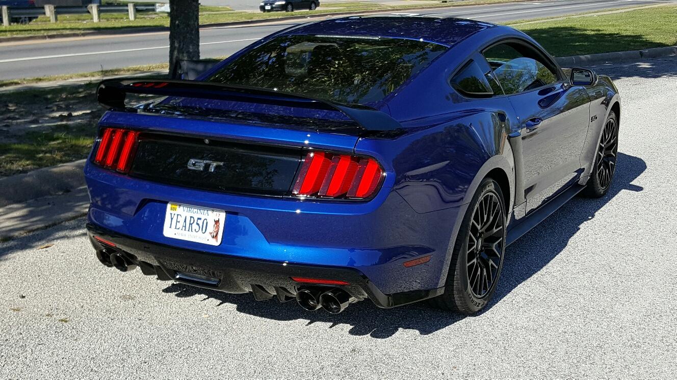 photobomb rear.jpg
