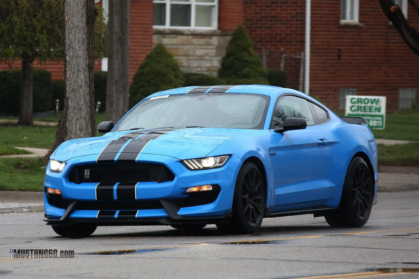 2017 GT350 Grabber Blue-1.webp