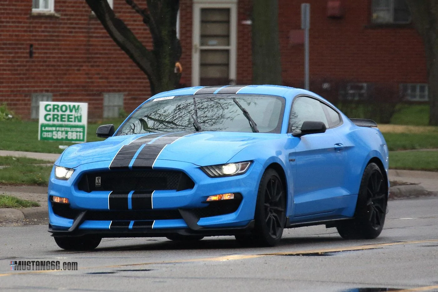 2017 GT350 Grabber Blue-2.webp