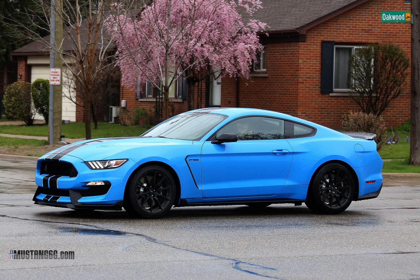 2017 GT350 Grabber Blue-5.jpg
