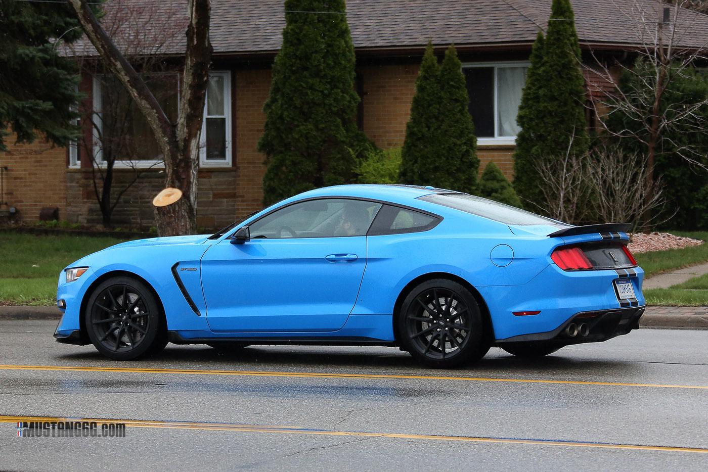 2017 GT350 Grabber Blue-8.jpg