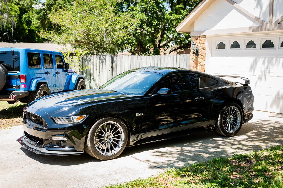 mustang-1.jpg