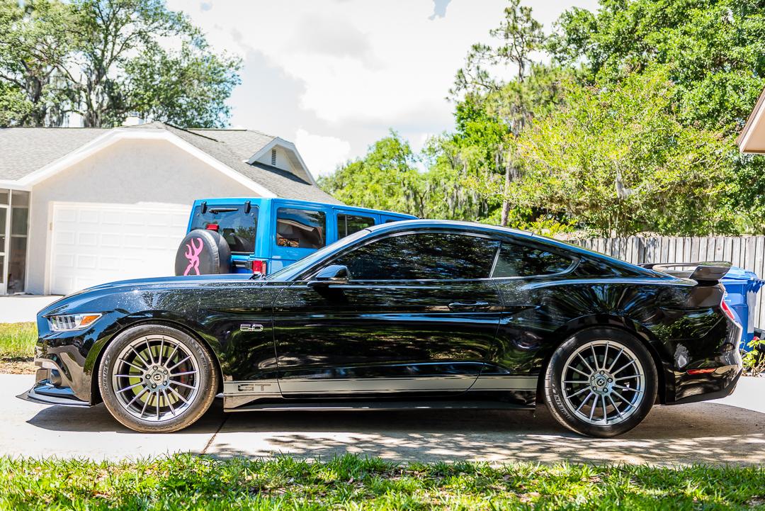 mustang-2.jpg