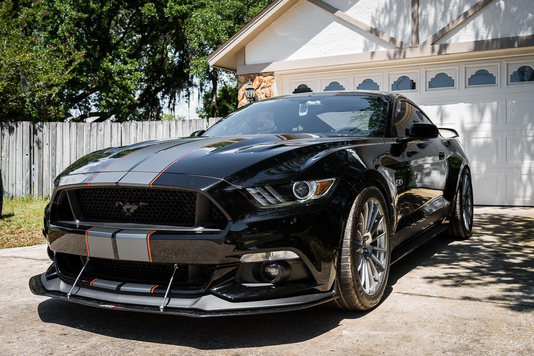 mustang-3.jpg