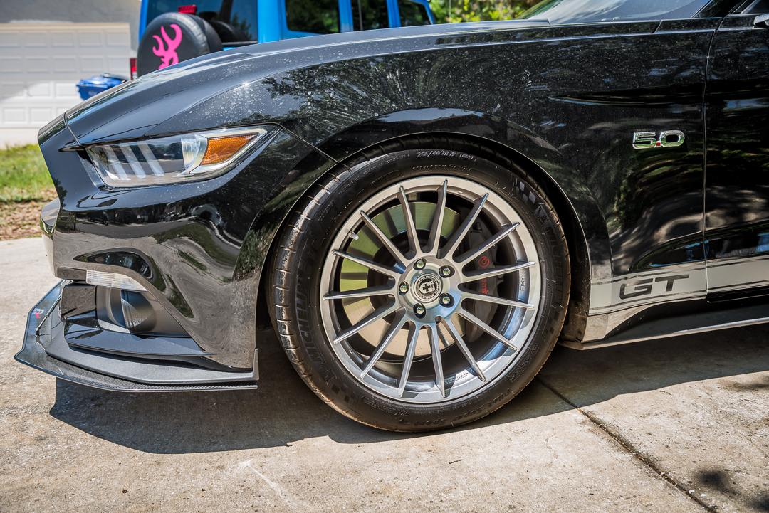 mustang-4.jpg