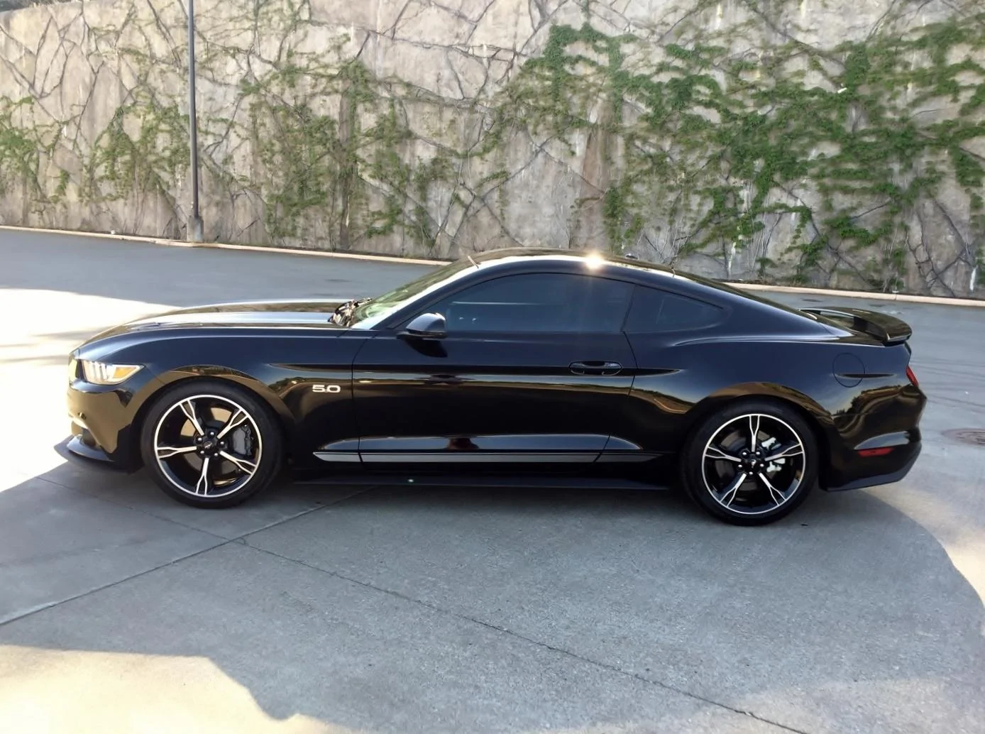 Mustang (3264x2448) (1400x1050) (2).webp