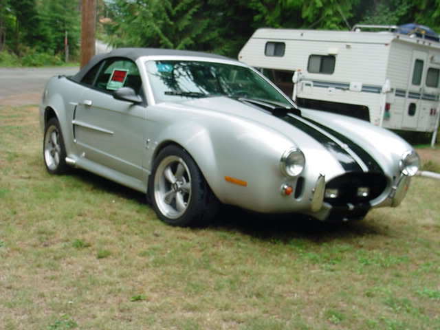 MustangCobra2.jpg