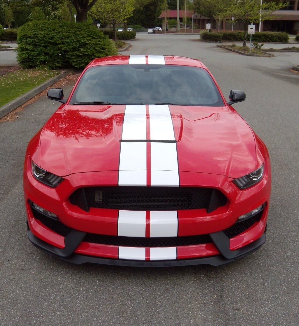 My Red 2016 GT350 FH 1024.jpg