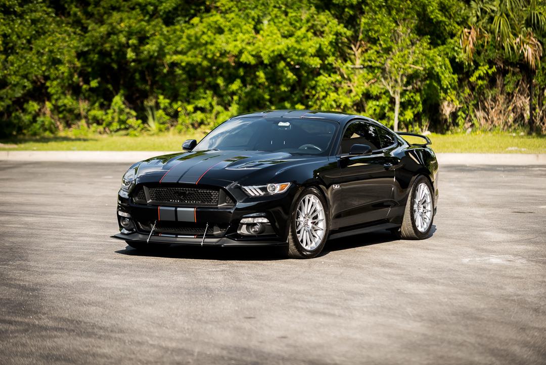 MustangQuickShoot-1.jpg