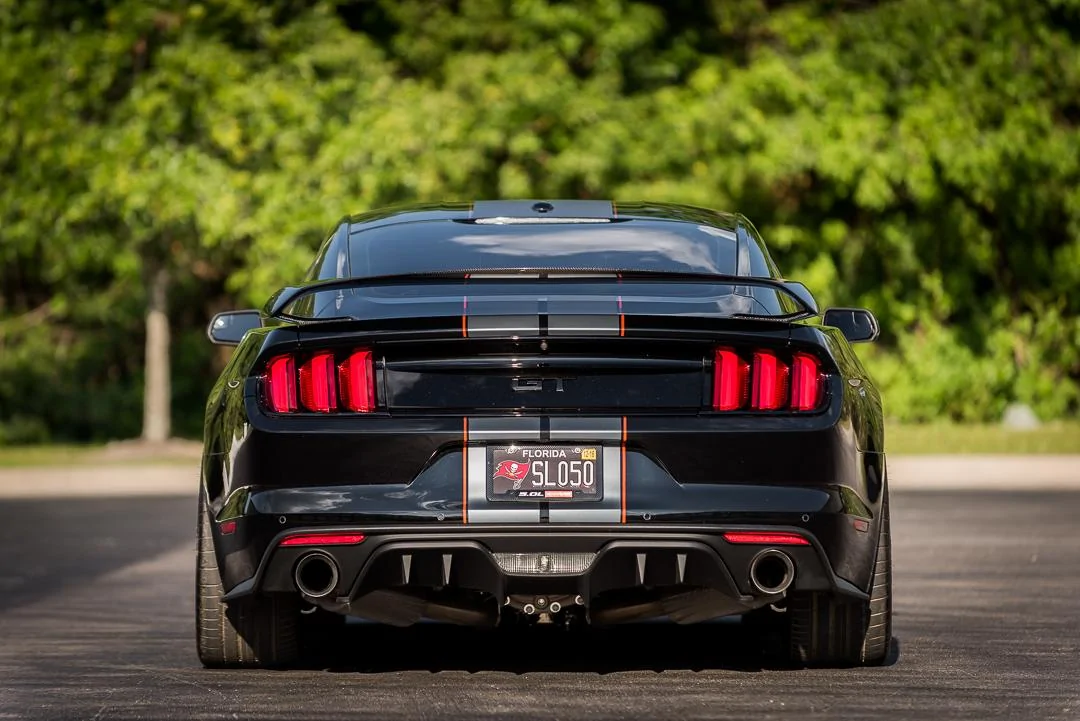 MustangQuickShoot-3-2.webp
