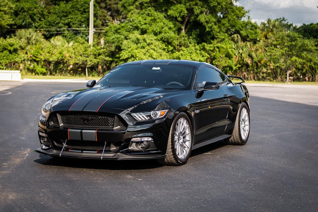 MustangQuickShoot-5.jpg