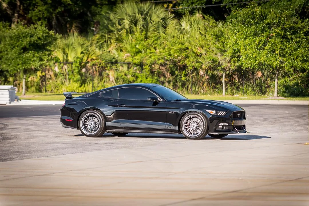 MustangQuickShoot-2.webp