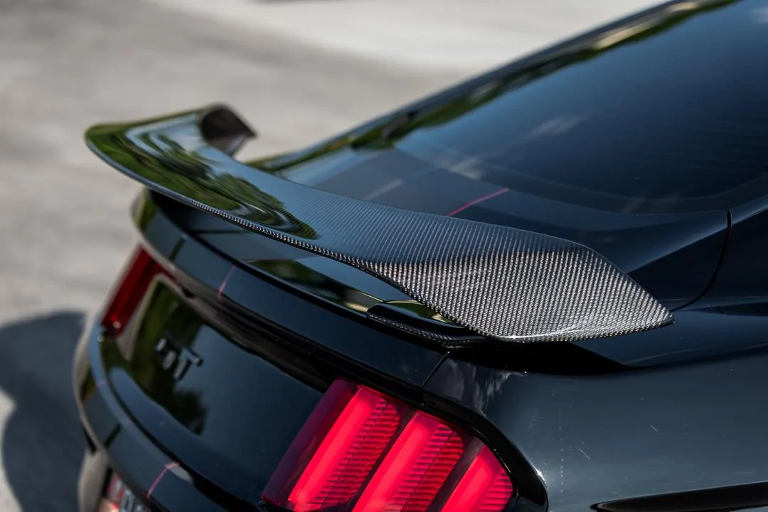 MustangQuickShoot-3.webp