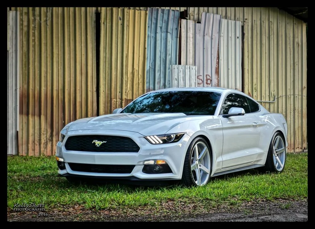 car (3 of 2) (1024x745).webp