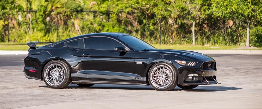 MustangQuickShoot-2.jpg