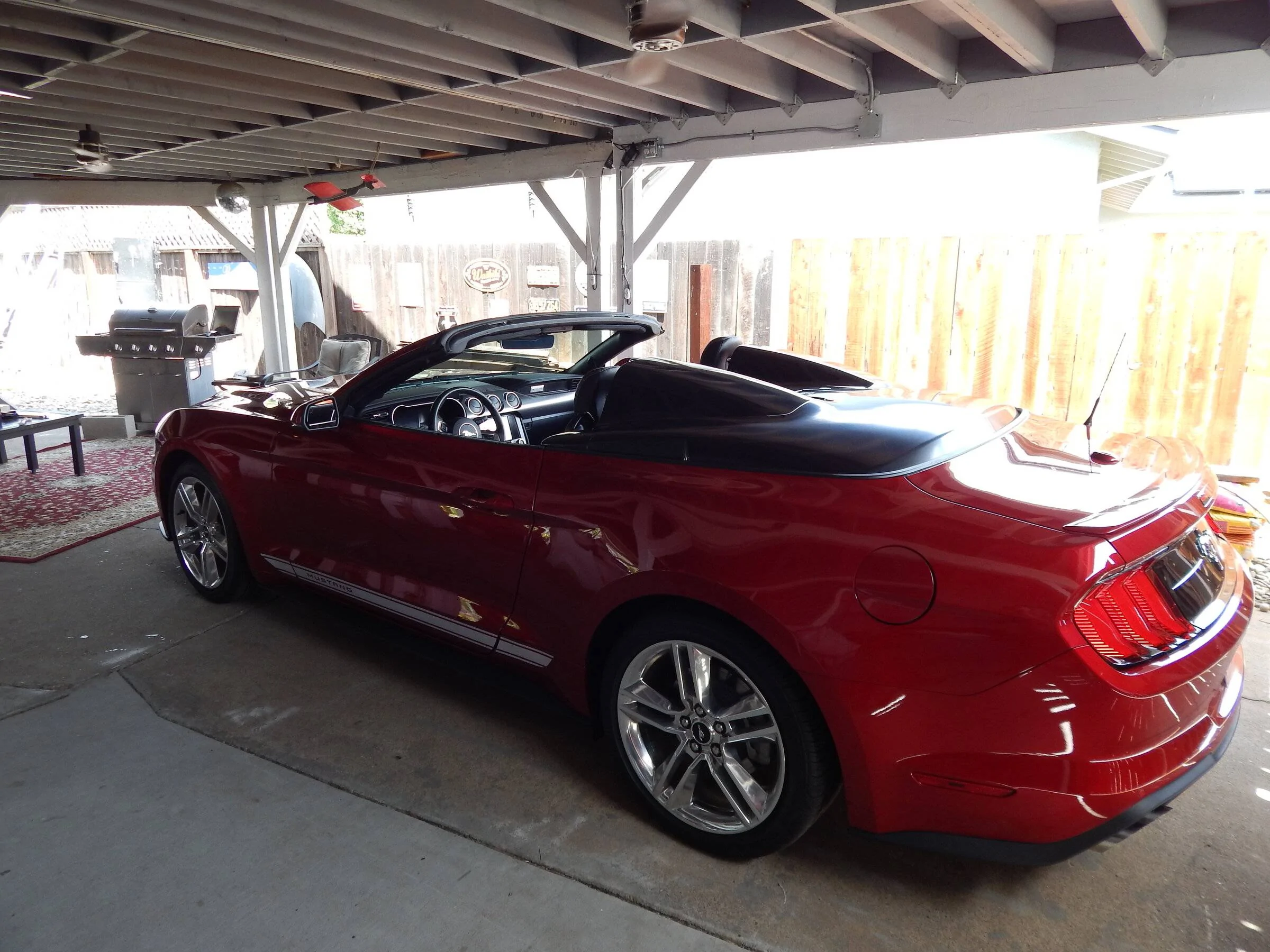 DSCN4562.webp