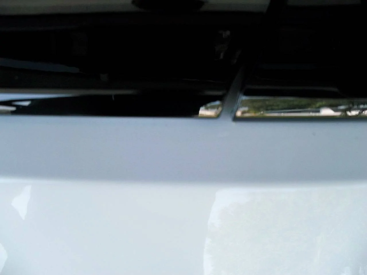 100_8724.webp