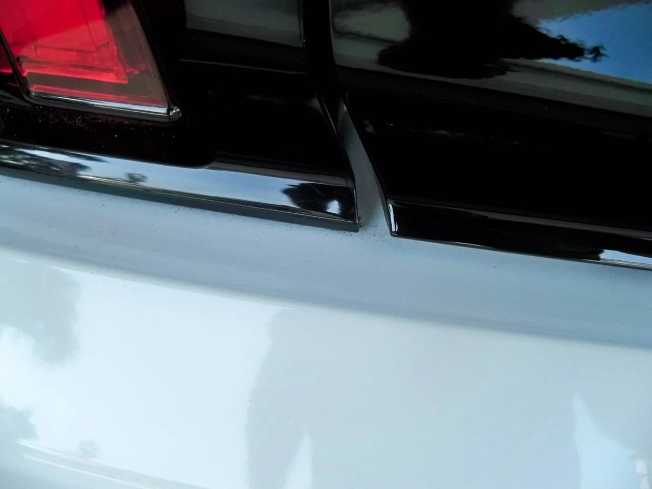 100_8723.webp