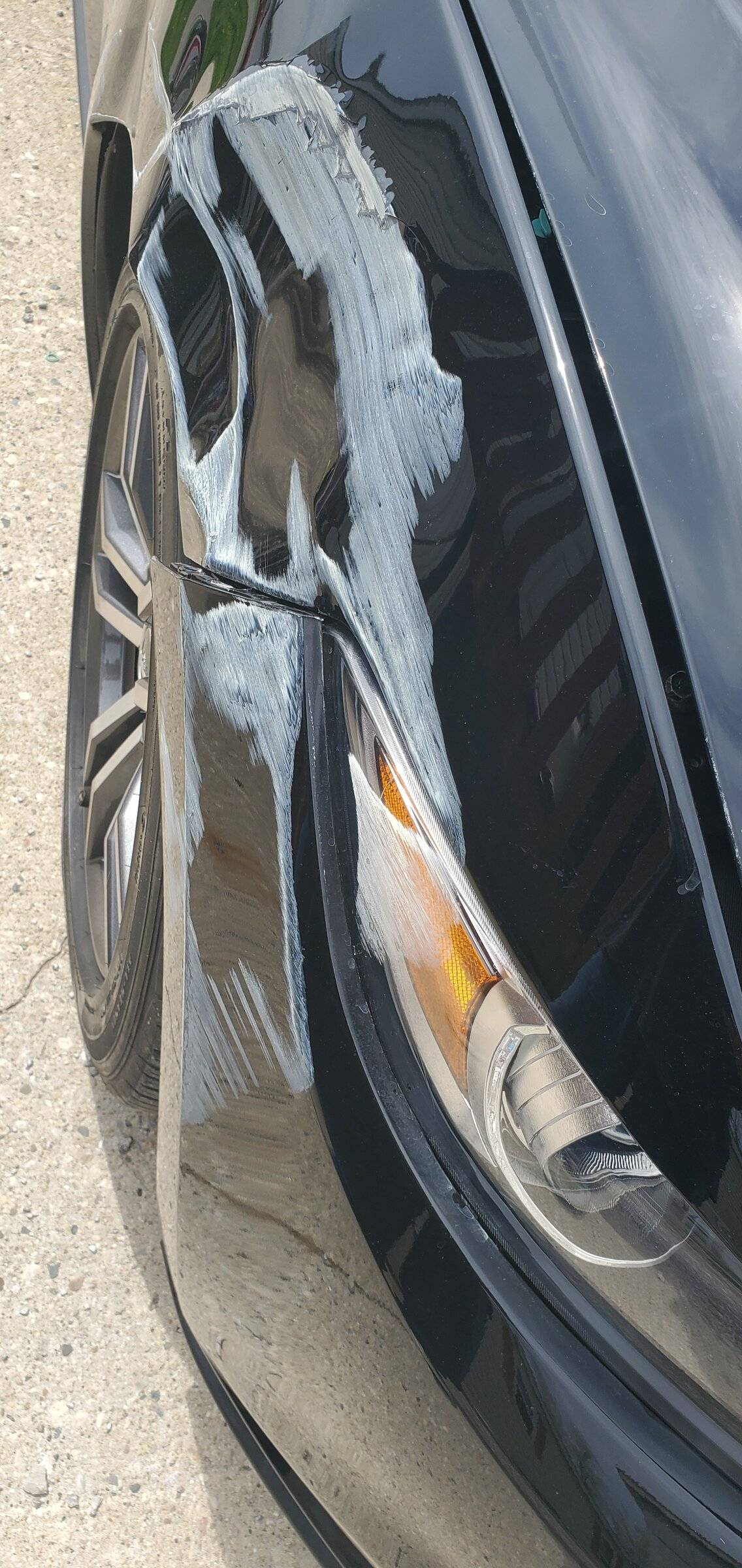 QTr panel.jpg