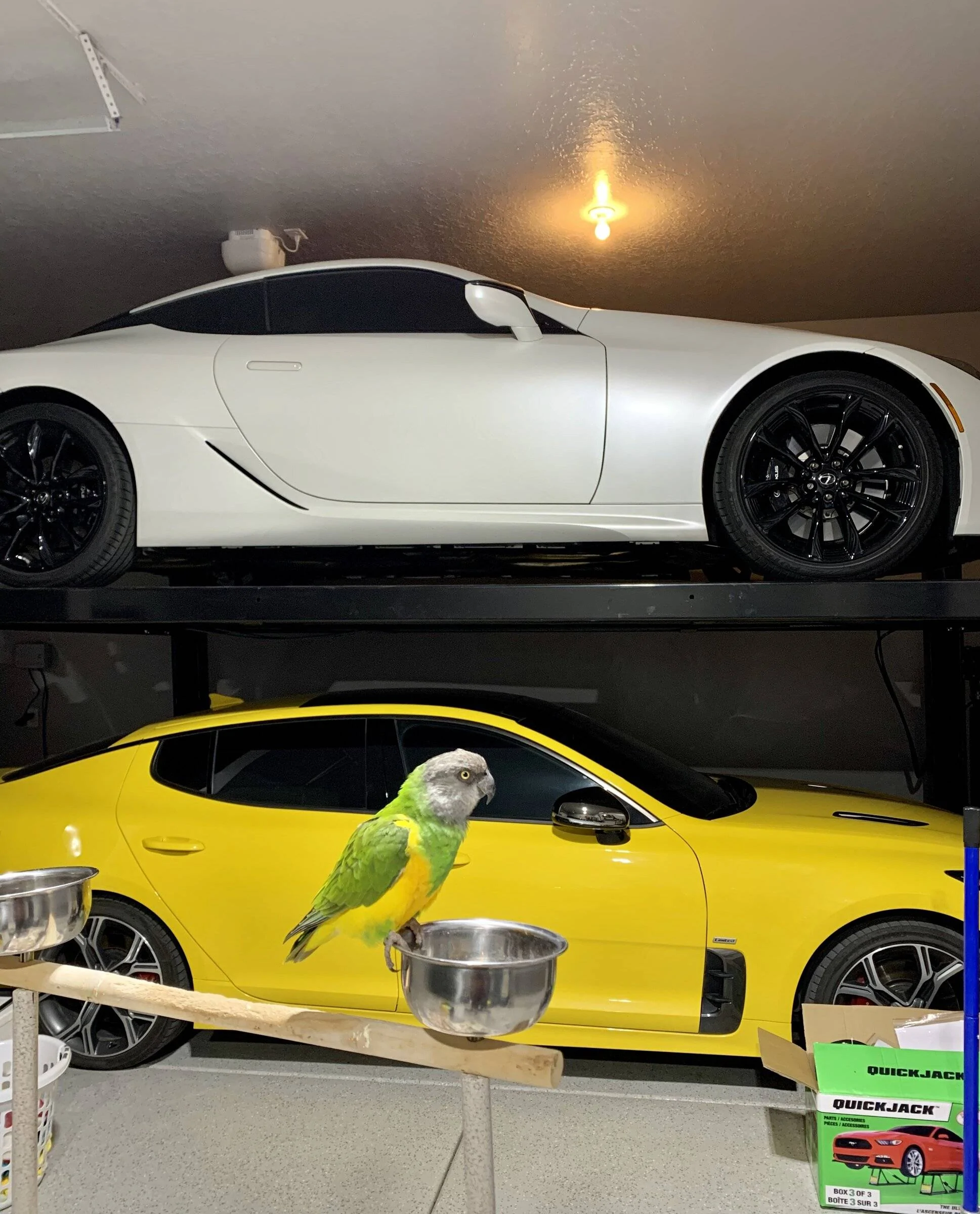 6C3D742E-C8DA-493E-9BB4-6F004422A8E0.webp