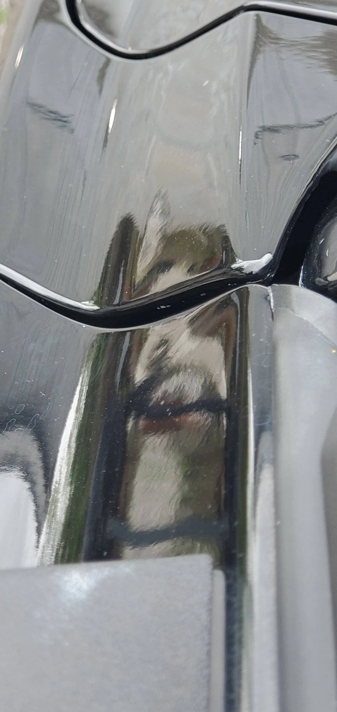hood to trim in front of driver door.jpg