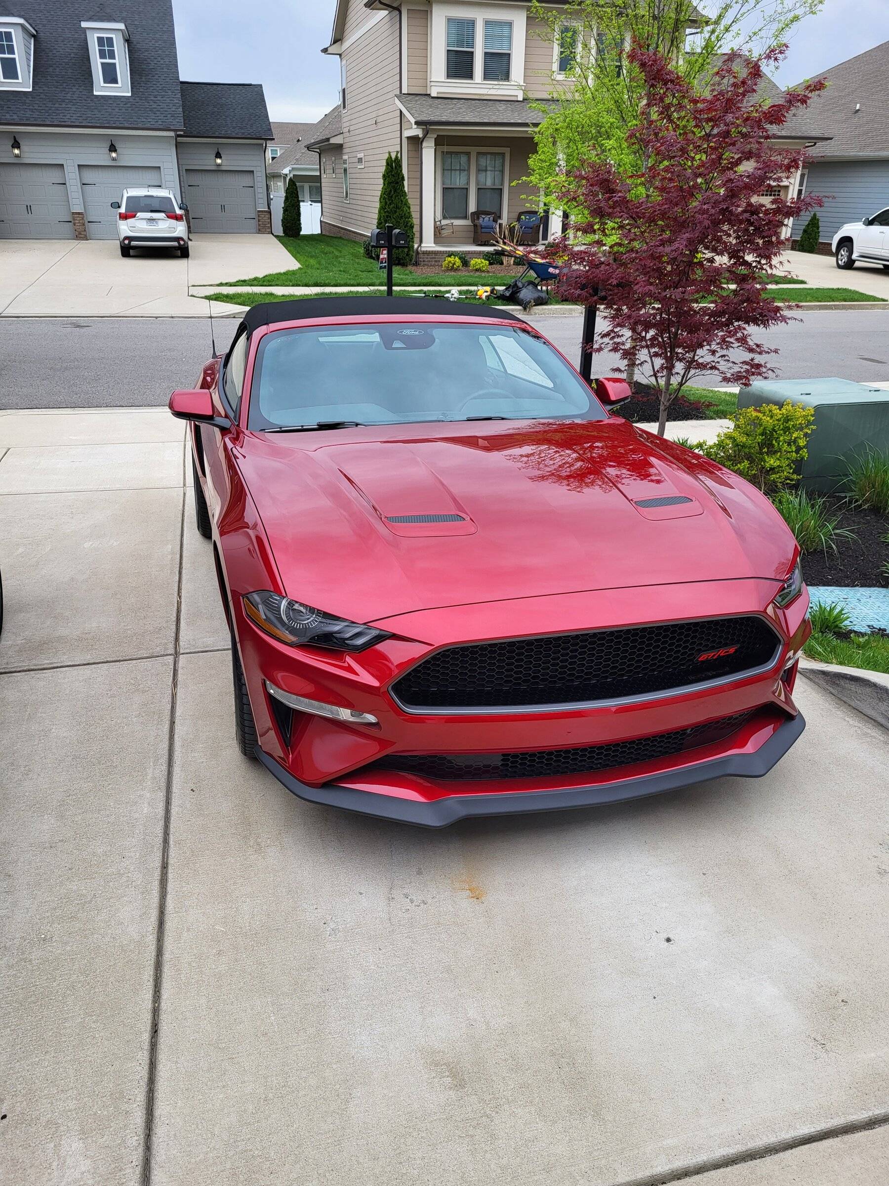 dak-mustang-1.jpg